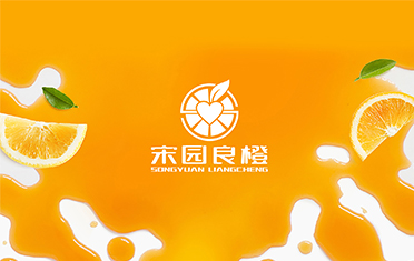 某良橙——上饶LOGO设计